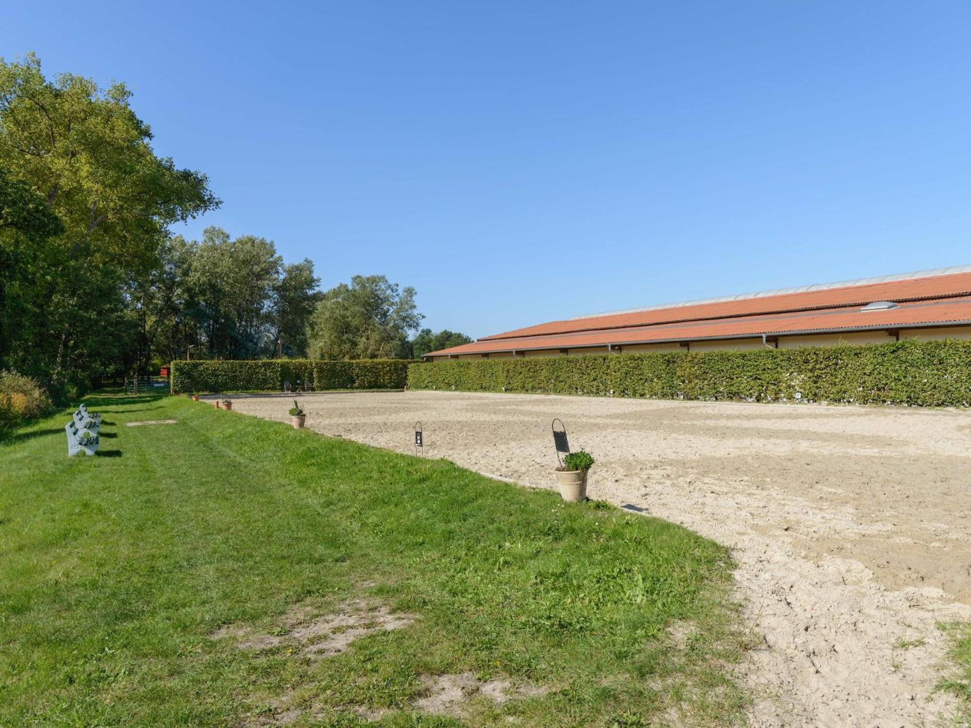 Cozy Holiday Home On A Horse Farm In The L Neburg Heath Eschede Exterior foto