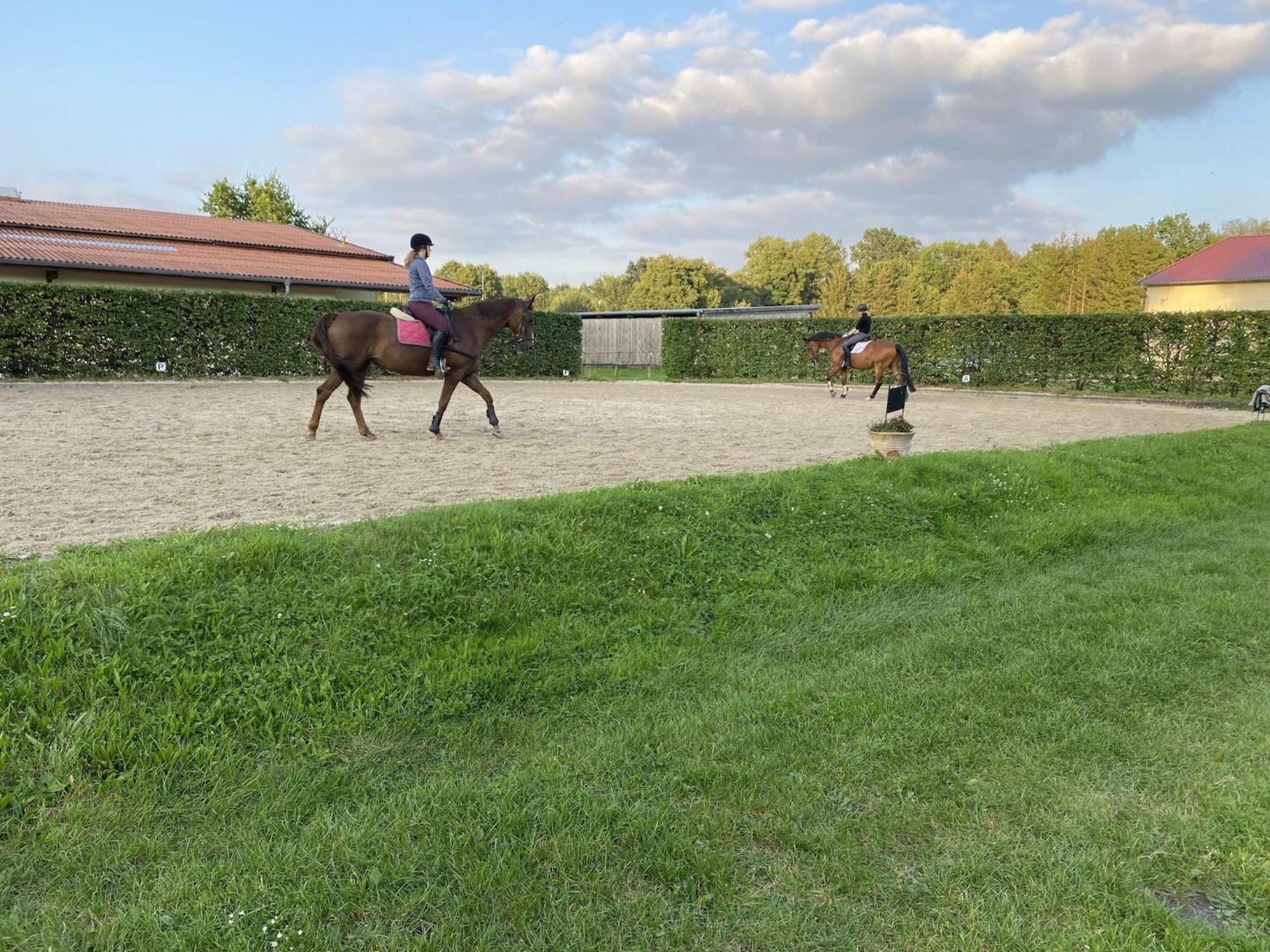 Cozy Holiday Home On A Horse Farm In The L Neburg Heath Eschede Exterior foto