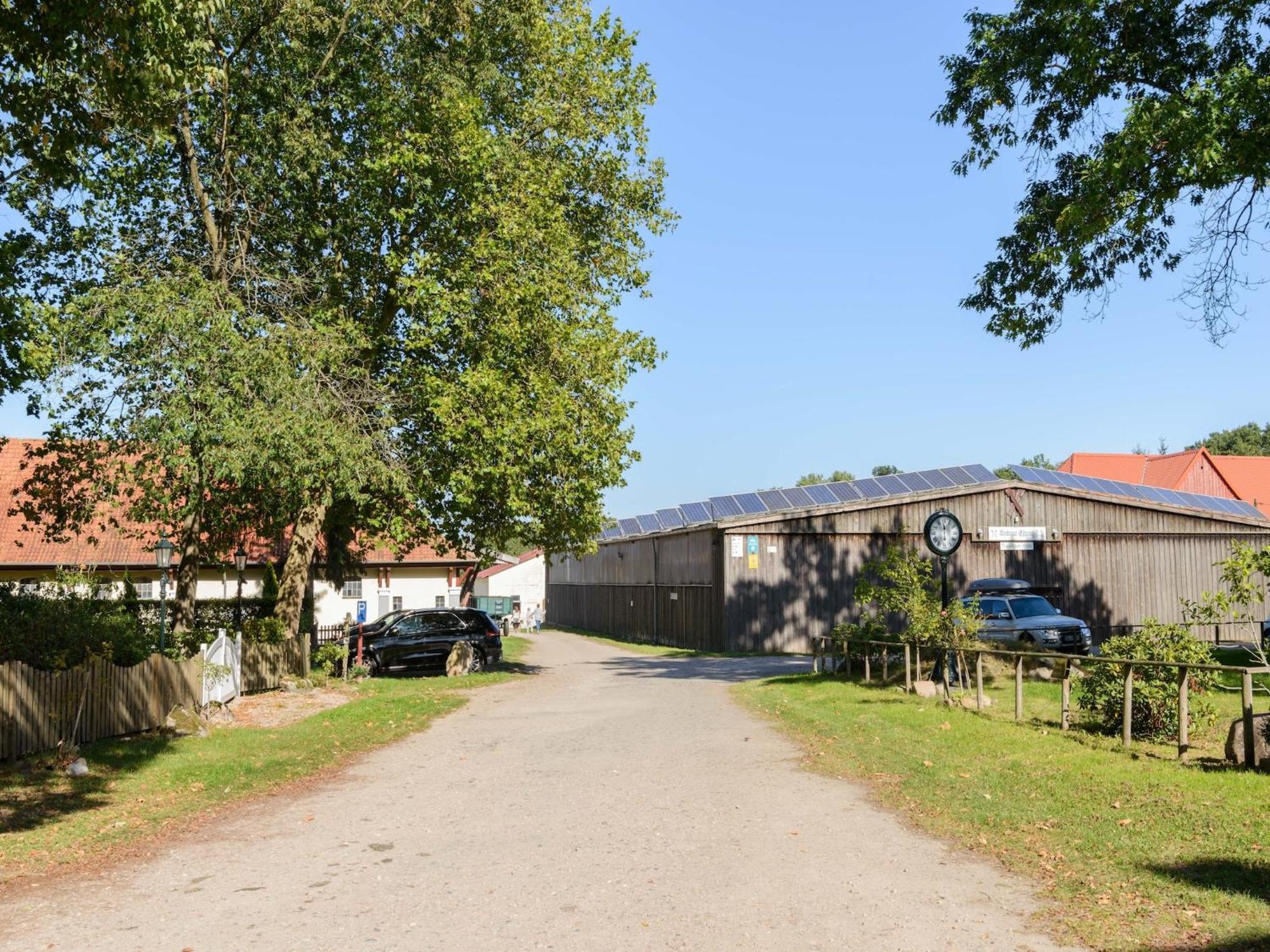 Cozy Holiday Home On A Horse Farm In The L Neburg Heath Eschede Exterior foto
